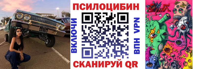 как найти   Городец  Псилоцибиновые грибы Psilocybine cubensis 